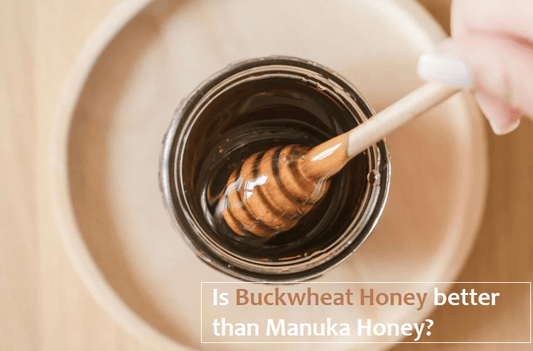 عسل الحنطة السوداء: البديل الذهبي لعسل المانوكا وبنصف السعر - Eden Naturals