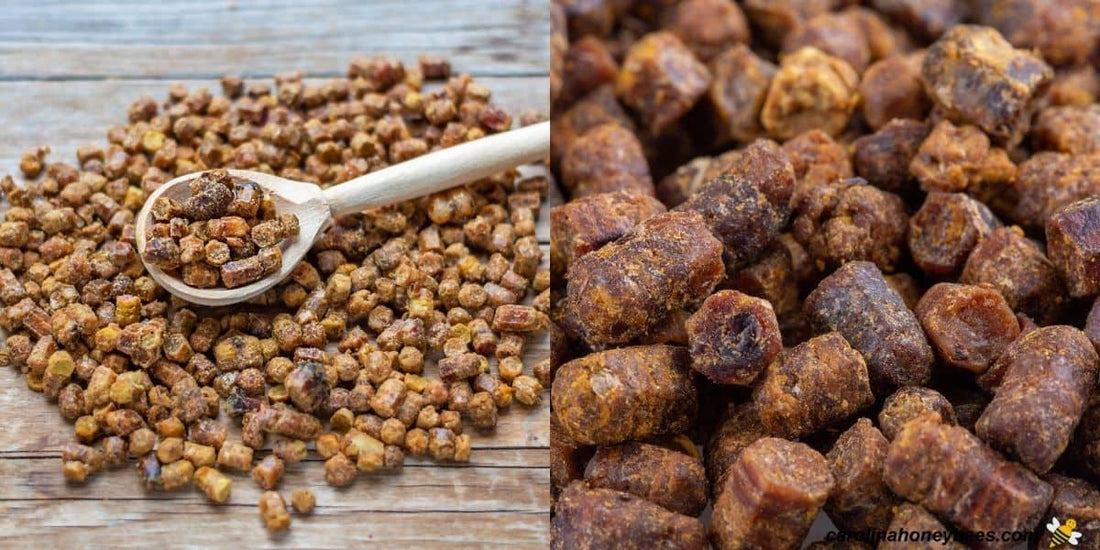 فوائد خبز النحل المدعومة علمياً - Eden Naturals