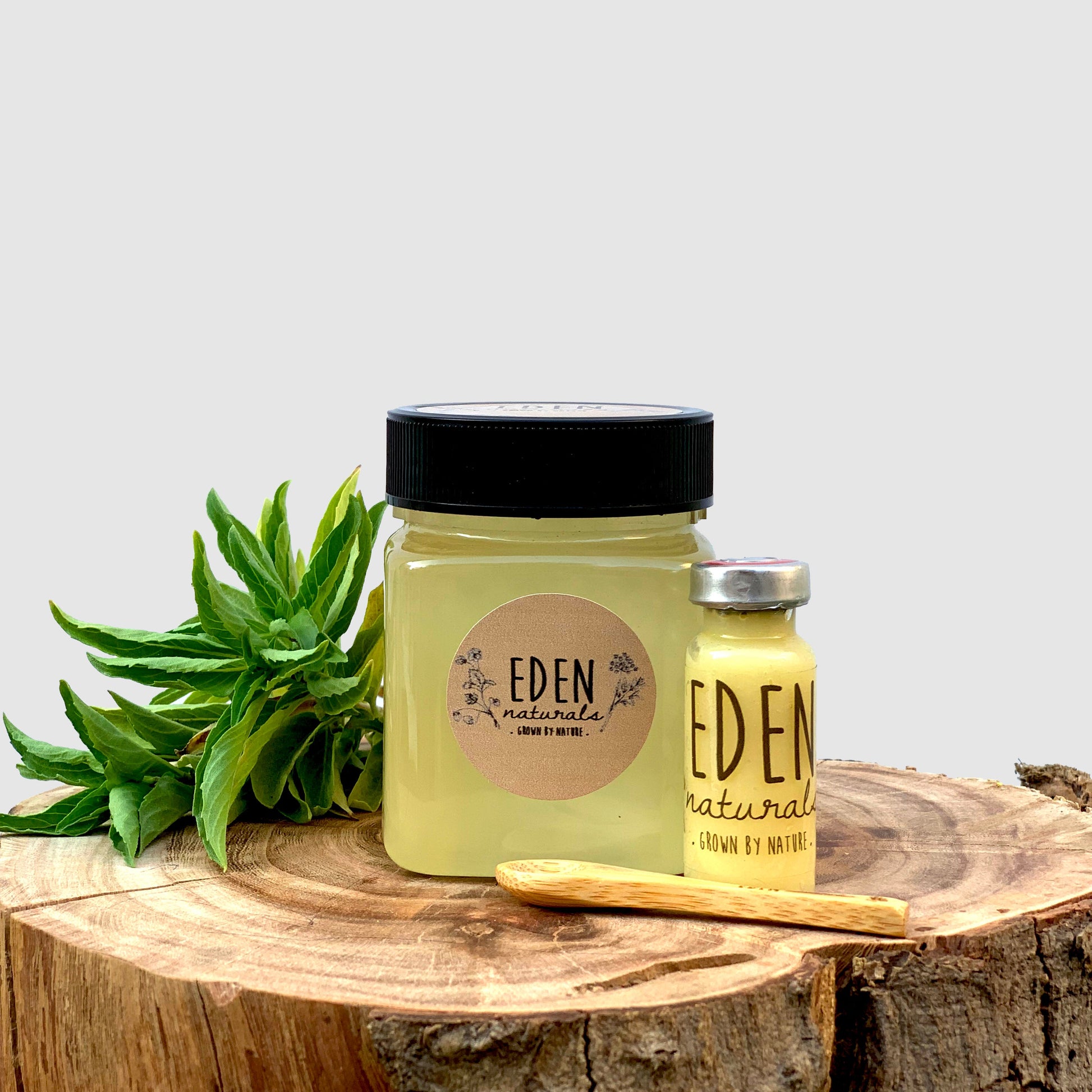 العسل الأكاسيا مشبع بغذاء الملكات - Eden Naturals