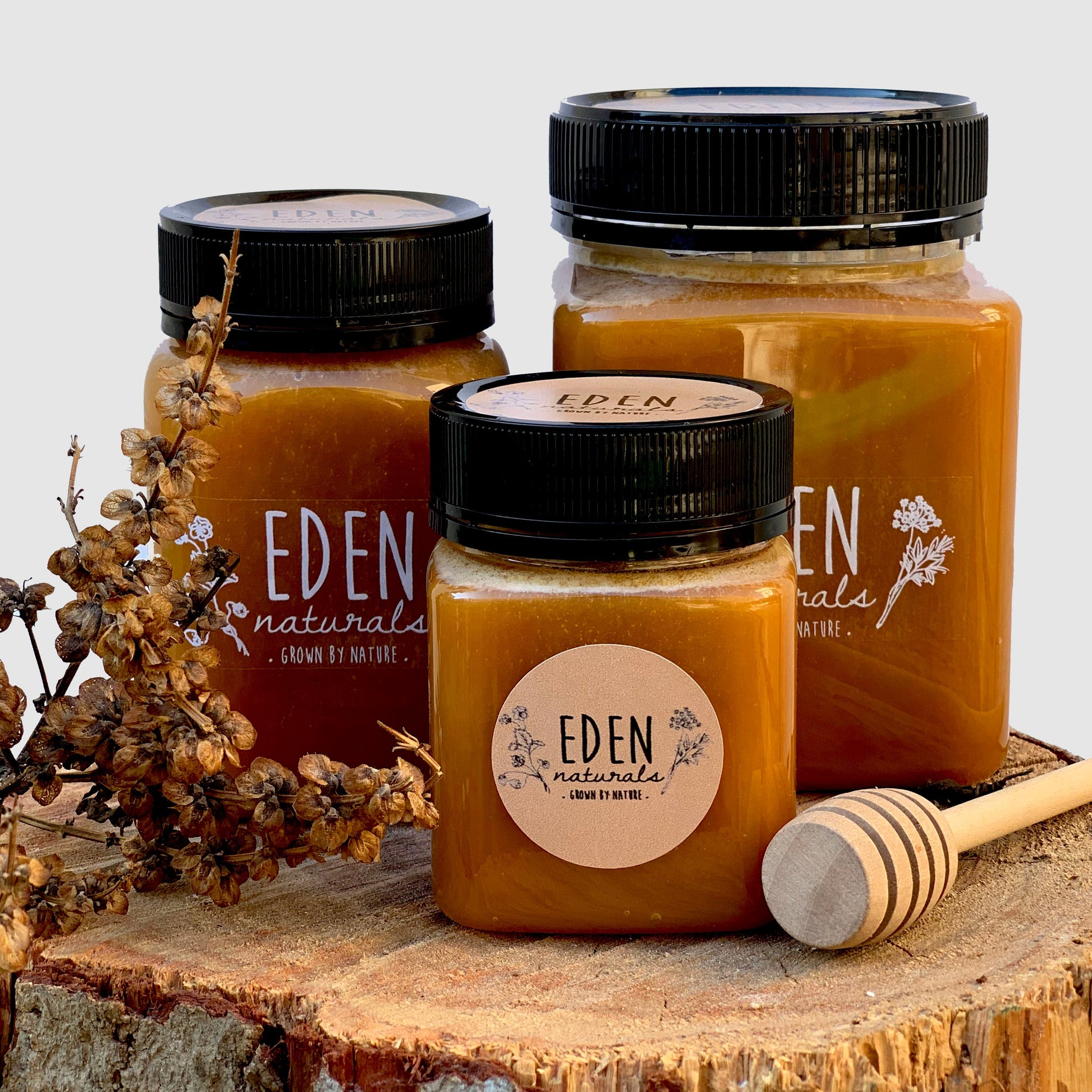 العسل الحنطة السوداء القرقيزي - Eden Naturals