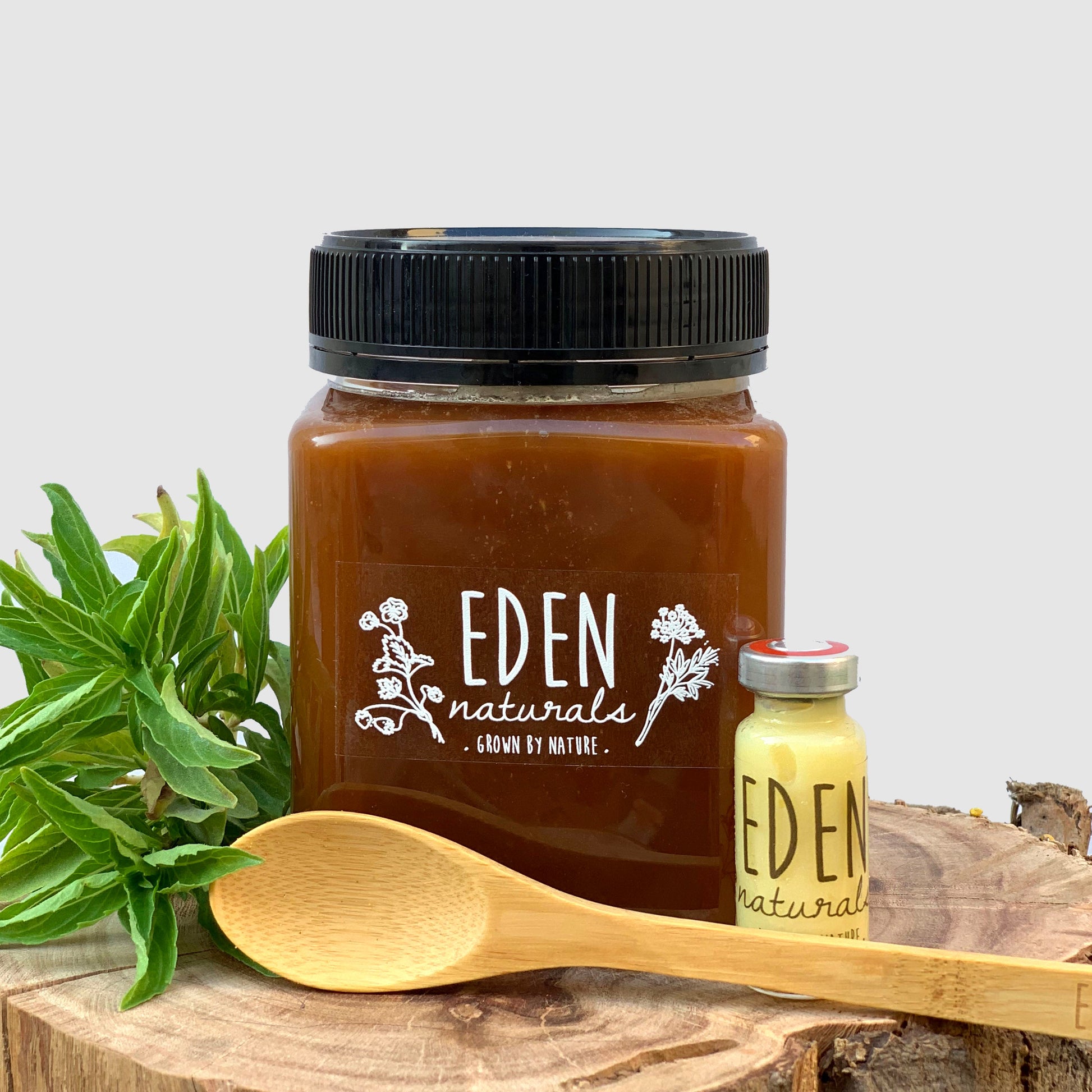 العسل الحنطة السوداء مشبع بغذاء الملكات - Eden Naturals