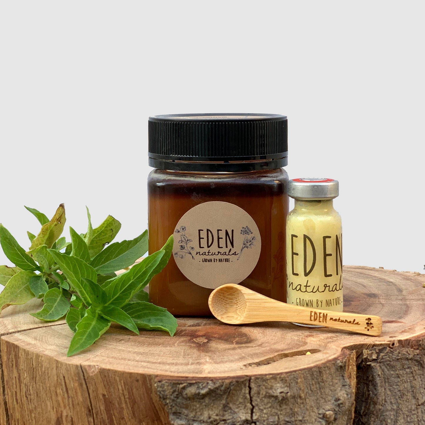 العسل الحنطة السوداء مشبع بغذاء الملكات - Eden Naturals
