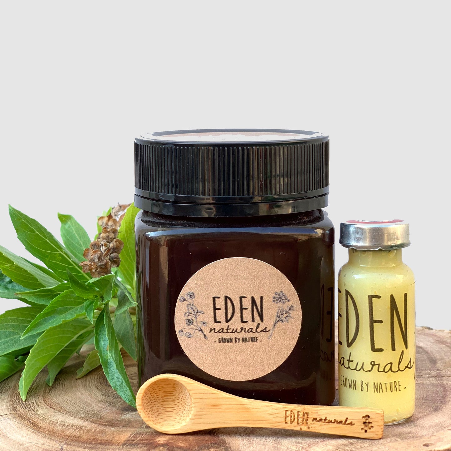 العسل السدر مشبع بغذاء الملكات - Eden Naturals