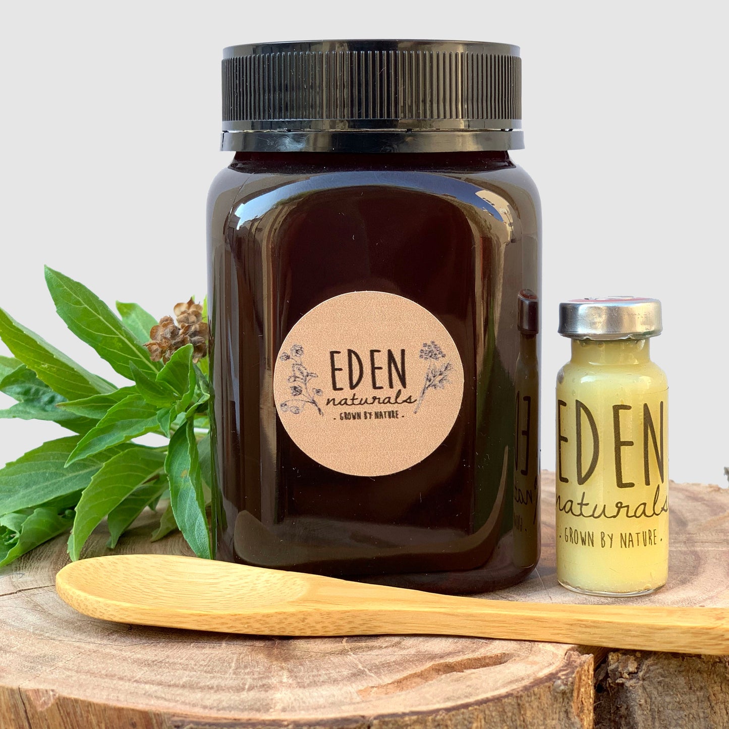 العسل السدر مشبع بغذاء الملكات - Eden Naturals