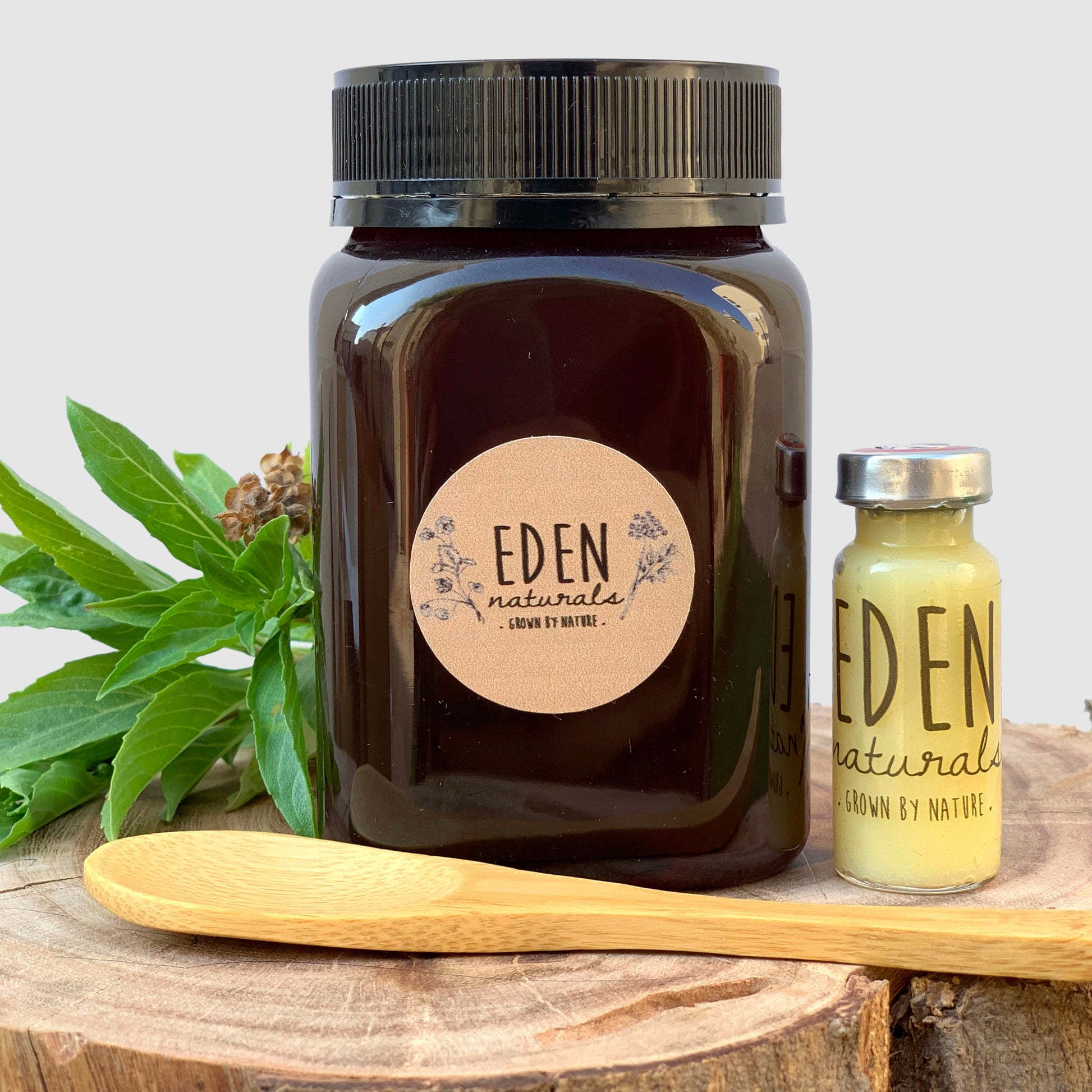 العسل السدر مشبع بغذاء الملكات - Eden Naturals