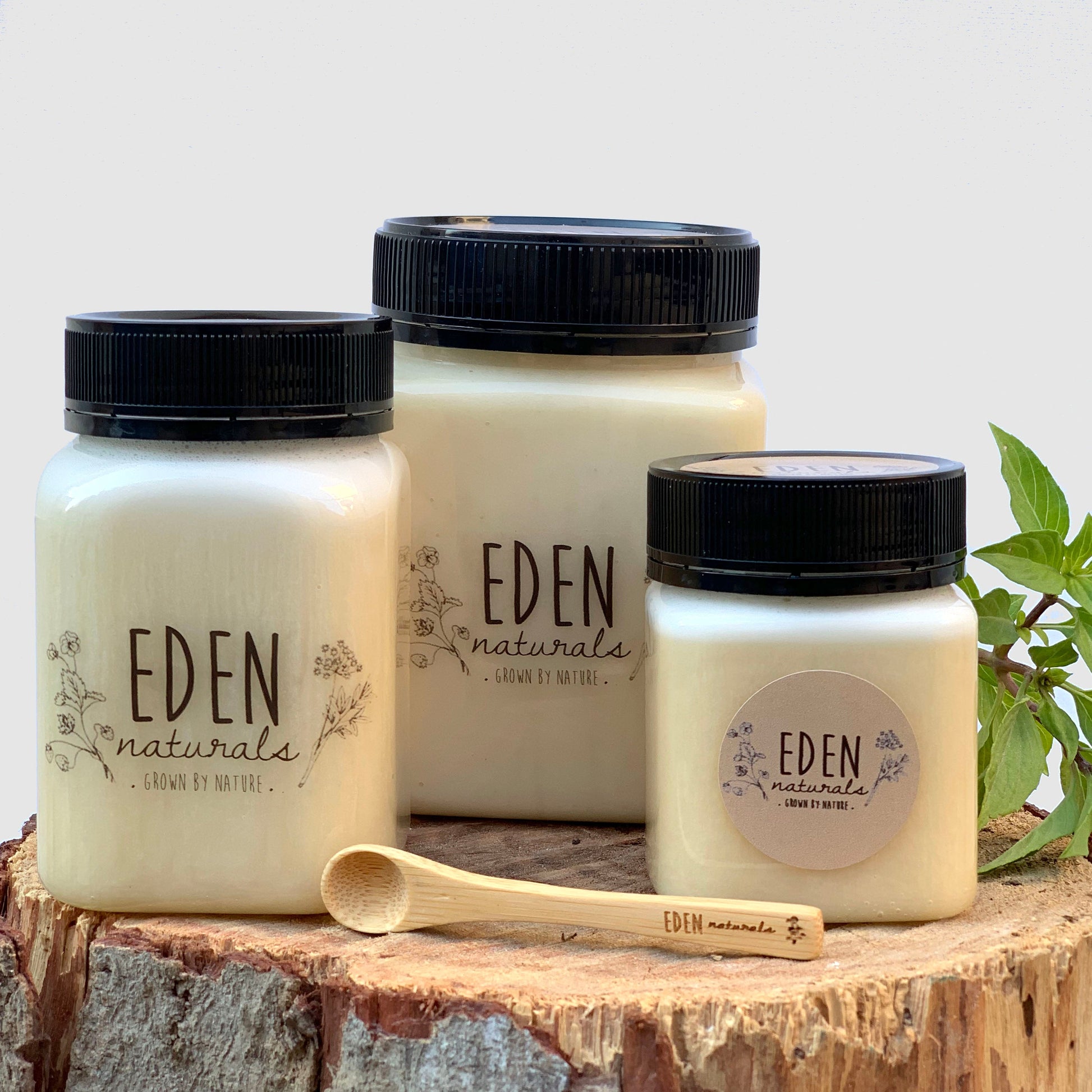 العسل الأبيض القرقيزي - Eden Naturals